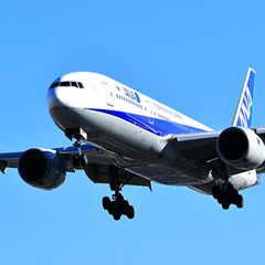 成田・羽田定額運賃